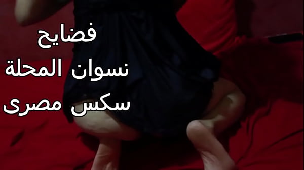 سكس عربي شرموطة مصرية طيزها كبيرة عايزة تتناك بشراسة