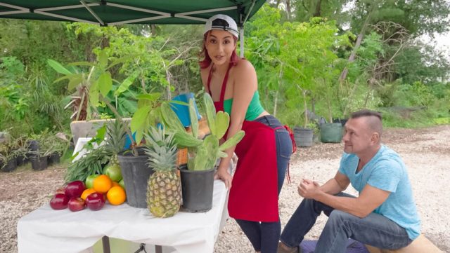 Kenyataan Raja – Jagung Segar Yang Bikin Nagih