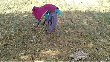 Desi Indian Boyfriend Ngegas Di Ladang, Sambil Ngebor Mantap Pacar Yang Lagi Sibuk Kerja.