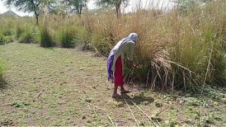 Pati Bagus, Sali Kamu Bener-bener Jadi Pelacur Sejati. Ya Udah… Denger, Foto-foto Malam Pertama Kamu, Malam Itu Kita Ngentotin Kamu, Top Ten Desi.